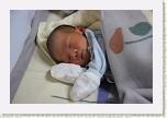 IMG_9225 * 1024 x 683 * (483KB)