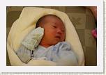 IMG_9230 * 1024 x 683 * (495KB)