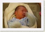 IMG_9231 * 1024 x 683 * (478KB)