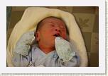 IMG_9249 * 1024 x 683 * (508KB)