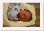 IMG_9254 * 1024 x 683 * (502KB)