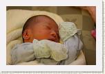 IMG_9260 * 1024 x 683 * (494KB)