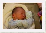 IMG_9262 * 1024 x 683 * (516KB)