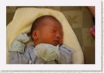 IMG_9266 * 1024 x 683 * (502KB)