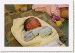 IMG_9278 * 1024 x 683 * (540KB)