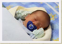 IMG_9351 * 1024 x 706 * (527KB)