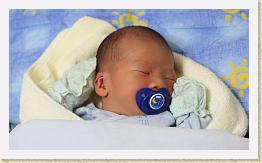 IMG_9352 * 1024 x 604 * (475KB)