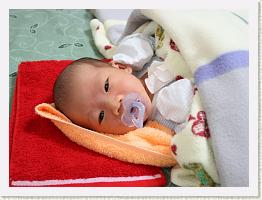 IMG_9378 * 1024 x 763 * (695KB)