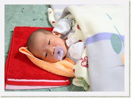 IMG_9380 * 1024 x 749 * (643KB)