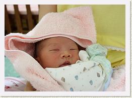 IMG_9410 * 1024 x 739 * (607KB)