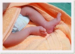 IMG_9502 * 1024 x 712 * (728KB)