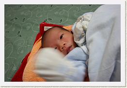 IMG_9537 * 1024 x 683 * (555KB)