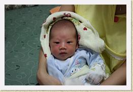 IMG_9619 * 1024 x 683 * (587KB)