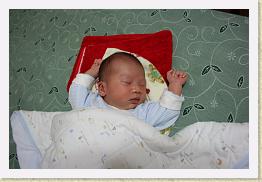 IMG_9672 * 1024 x 683 * (647KB)