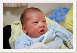 IMG_9698 * 1024 x 683 * (623KB)