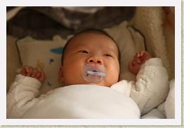 IMG_0286 * 1024 x 683 * (503KB)