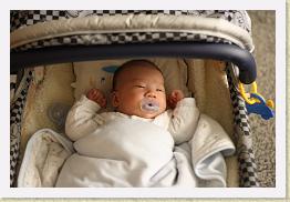 IMG_0294 * 1024 x 683 * (571KB)