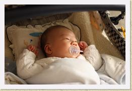 IMG_0296 * 1024 x 683 * (532KB)