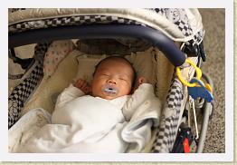IMG_0301 * 1024 x 683 * (577KB)