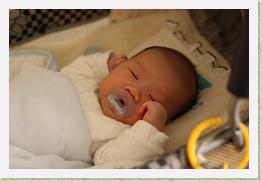 IMG_0343 * 1024 x 683 * (513KB)