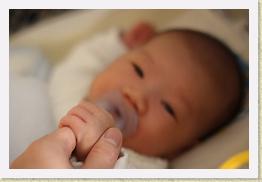 IMG_0361 * 1024 x 683 * (488KB)