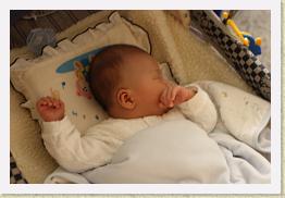 IMG_0391 * 1024 x 683 * (533KB)