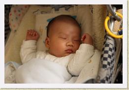 IMG_0396 * 1024 x 683 * (529KB)