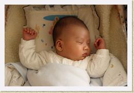 IMG_0400 * 1024 x 683 * (514KB)