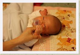 IMG_0546 * 1024 x 683 * (561KB)