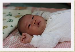IMG_0612 * 1024 x 683 * (528KB)