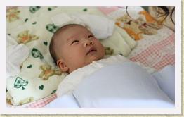IMG_0682 * 1024 x 616 * (469KB)
