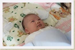 IMG_0699 * 1024 x 646 * (513KB)