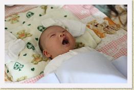 IMG_0702 * 1024 x 664 * (519KB)