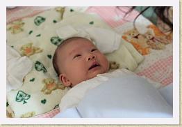 IMG_0704 * 1023 x 683 * (543KB)