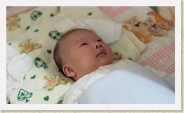 IMG_0707 * 1024 x 595 * (454KB)