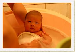 IMG_0741 * 1024 x 683 * (531KB)