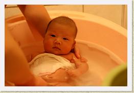 IMG_0745 * 1024 x 683 * (530KB)