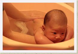 IMG_0753 * 1024 x 683 * (513KB)