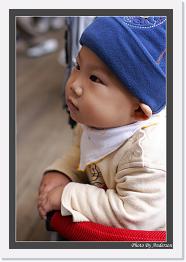 IMG_7842 * 547 x 800 * (236KB)