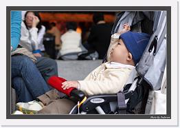 IMG_7861 * 800 x 549 * (228KB)