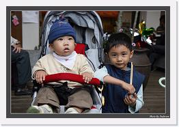 IMG_7880 * 800 x 549 * (240KB)