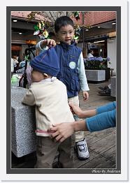 IMG_7903 * 547 x 800 * (231KB)