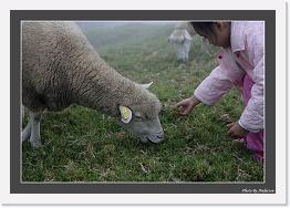 IMG_7930 * 800 x 556 * (237KB)