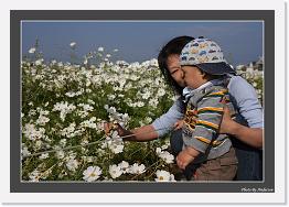 IMG_8351 * 800 x 556 * (234KB)