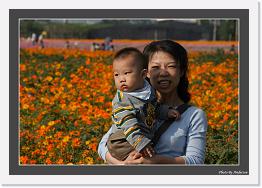 IMG_8413 * 800 x 556 * (228KB)