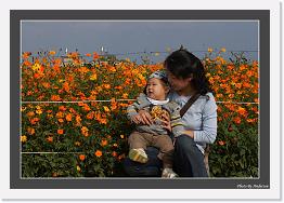IMG_8421 * 800 x 556 * (242KB)