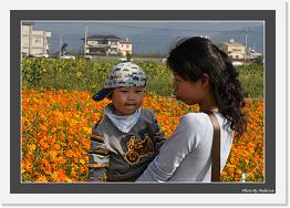 IMG_8434 * 800 x 556 * (237KB)
