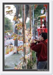 IMG_9190 * 581 x 850 * (228KB)