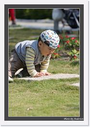 IMG_0065 * 553 x 800 * (219KB)