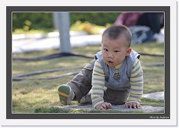 IMG_0083 * 800 x 553 * (220KB)